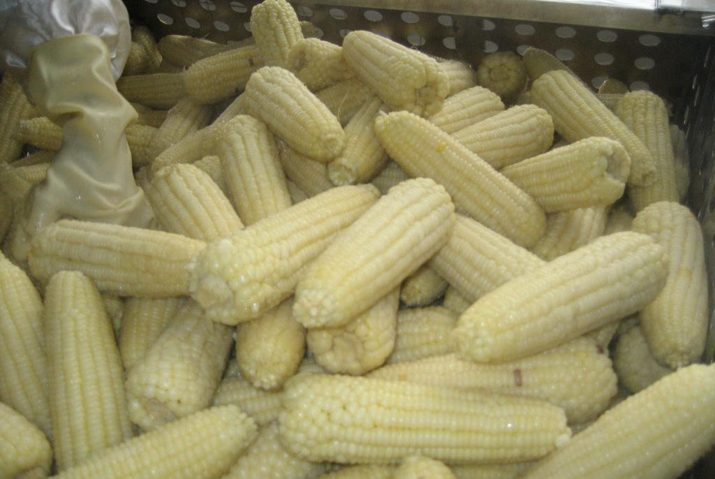 速凍糯玉米